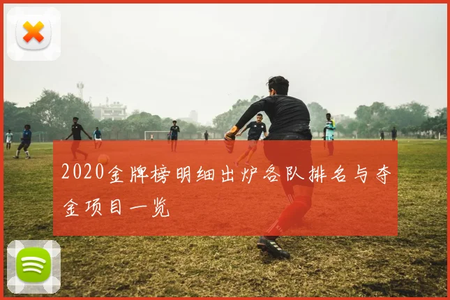 2020金牌榜明细出炉各队排名与夺金项目一览