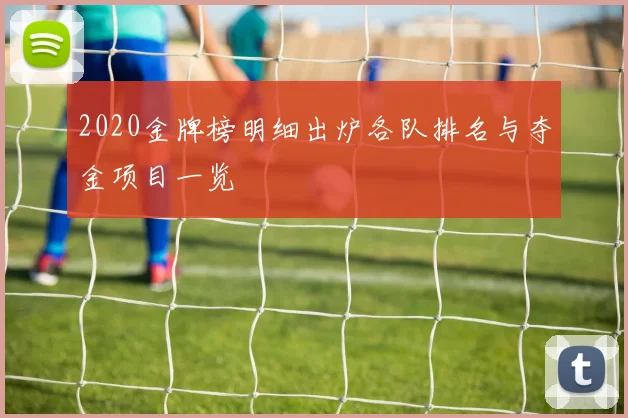 2020金牌榜明细出炉各队排名与夺金项目一览